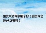 剑灵气功气宗哪个好（剑灵气功师pk厉害吗）