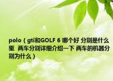 polo（gti和GOLF 6 哪个好 分别是什么驱  两车分别详细介绍一下 两车的机器分别为什么）