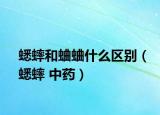 蟋蟀和蛐蛐什么区别（蟋蟀 中药）