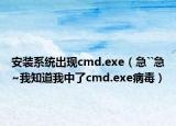 安装系统出现cmd.exe（急``急~我知道我中了cmd.exe病毒）
