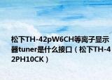 松下TH-42pW6CH等离子显示器tuner是什么接口（松下TH-42PH10CK）