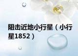 阻击近地小行星（小行星1852）