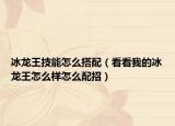冰龙王技能怎么搭配（看看我的冰龙王怎么样怎么配招）