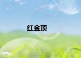红金顶