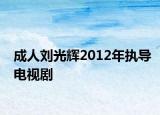 成人刘光辉2012年执导电视剧