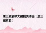 唐三藏满级大佬搞笑动画（唐三藏真名）