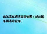 哈尔滨车辆违章查询网（哈尔滨车辆违章查询）