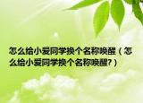 怎么给小爱同学换个名称唤醒（怎么给小爱同学换个名称唤醒?）