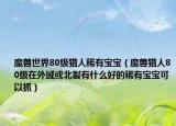 魔兽世界80级猎人稀有宝宝（魔兽猎人80级在外域或北裂有什么好的稀有宝宝可以抓）