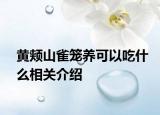 黄颊山雀笼养可以吃什么相关介绍