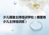 少儿播音主持培训学校（哪里有少儿主持培训班）