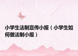 小学生法制宣传小报（小学生如何做法制小报）