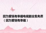 因为爱情有幸福电视剧全集免费（因为爱情有幸福）