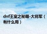 dnf王室之秘籍-大将军（有什么用）