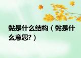 黏是什么结构（黏是什么意思?）