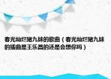春光灿烂猪九妹的歌曲（春光灿烂猪九妹的插曲是王乐昌的还是会想你吗）