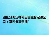 基因分离定律和自由组合定律区别（基因分离定律）