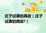 庄子试妻的典故（庄子试妻的典故?）