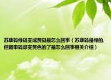 苏康码绿码变成黄码是怎么回事（苏康码是绿的,但随申码却变黄色的了是怎么回事相关介绍）
