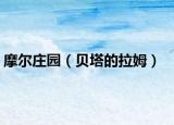 摩尔庄园（贝塔的拉姆）