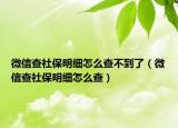 微信查社保明细怎么查不到了（微信查社保明细怎么查）