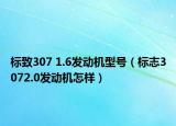 标致307 1.6发动机型号（标志3072.0发动机怎样）