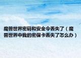 魔兽世界密码和安全令丢失了（魔兽世界中我的密保卡丢失了怎么办）