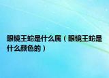 眼镜王蛇是什么属（眼镜王蛇是什么颜色的）