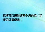 花呗可以提前还两个月的吗（花呗可以提现吗）