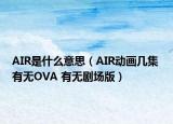 AIR是什么意思（AIR动画几集 有无OVA 有无剧场版）