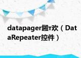 datapager鎺т欢（DataRepeater控件）
