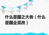 什么是国之大者（什么是国企混改）