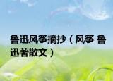 鲁迅风筝摘抄（风筝 鲁迅著散文）