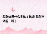 印刷体是什么字体（仿宋 印刷字体的一种）