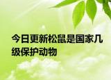 今日更新松鼠是国家几级保护动物