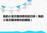 我的小宝贝期待着你的归来（我的小宝贝期待着你的拥抱）