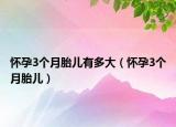 怀孕3个月胎儿有多大（怀孕3个月胎儿）