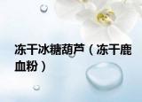 冻干冰糖葫芦（冻干鹿血粉）