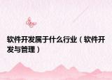 软件开发属于什么行业（软件开发与管理）