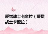 爱憎战士卡蜜拉（爱憎战士卡蜜拉）