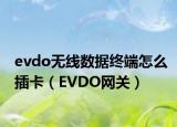 evdo无线数据终端怎么插卡（EVDO网关）