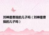 刘禅是曹操的儿子吗（刘禅是曹操的儿子吗）