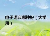 电子词典哪种好（大学用）