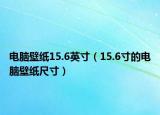 电脑壁纸15.6英寸（15.6寸的电脑壁纸尺寸）