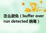 怎么避免（buffer overrun detected 病毒）
