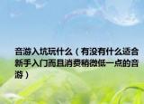 音游入坑玩什么（有没有什么适合新手入门而且消费稍微低一点的音游）
