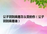 公子羽到底是怎么受的伤（公子羽到底是谁）