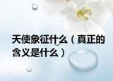天使象征什么（真正的含义是什么）