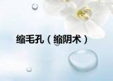 缩毛孔（缩阴术）