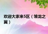欢迎大家来5区（雏龙之翼）